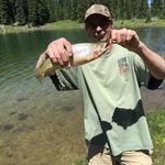 Steve Leuallen - @leuallensteve - Instagram
