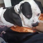 Steve LICHTENBERGER - @steve.lichtenberger - Instagram