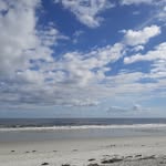Steve Linder - @steve.linder.771 - Instagram