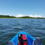 Steve Linkous - @therealstevelinkous - Instagram