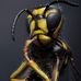 Steven Linton - Facebook