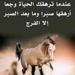 steve  lion - @stevelion9696 - Instagram