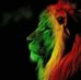 Steve Lion - Facebook