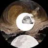 Steven Lion - @steven.lion3 - TikTok