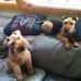 Steve Lipkin - Facebook