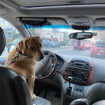 Steve Litwin - @stevelitwin2 - Instagram
