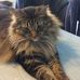 Steve Lobb - Facebook