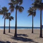 Steve Pettitt - @steve_lobbo - Instagram