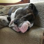 Steven Lobb - @stevelobb - Instagram