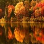 Steve Lober - @stevelober - Instagram