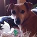 Steven Loftin - Facebook