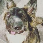 Steve Loftus - @6399steve - Instagram
