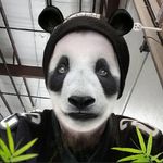 Steve Loftus - @smokelikeafish - Instagram