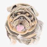 Steve loftus - @artbyipencil - Instagram