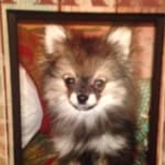 Steve Logsdon - @cubbylogsdon - Instagram