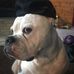 Steven Logsdon - Facebook