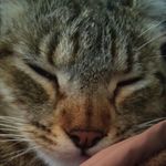 steve_lombardo - @steve_lombardo - Instagram