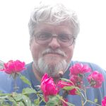 Steve Looney - @steve_l_937 - Instagram