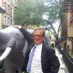 Steve Looney - @steve.looney - Instagram