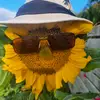 @k1w1steveB - @stevebatchelor7 - TikTok