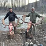Steve Lorentz - @steve.lorentz - Instagram