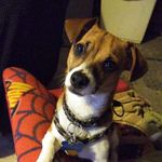 Steve Lovato - @steve.lovato.3939 - Instagram