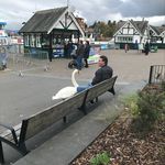 Steve Lovett - @stevelovett9 - Instagram