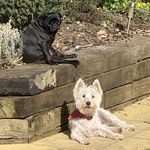 Steve Lovett - @steve.lovett7 - Instagram