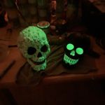 Steve Lovett - @dogsbum - Instagram