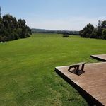 Steve Lovett - @aplusyardnhome - Instagram