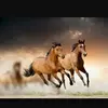 Steve Lovett - @steve.lovett - TikTok