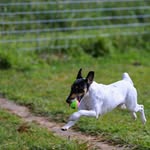 Steve Lovett - @lovettstevo - Instagram