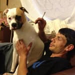 Steven Lowther - @steventhomaslowther - Instagram