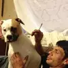 stevenlowther482 - @stevenlowther482 - TikTok