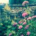 Steve Lubin - Facebook