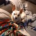 Steve Little - Facebook