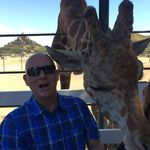 Steve Lusk - @stevelusk68 - Instagram