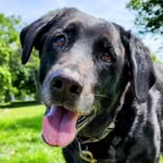 Stephen M. - @steve.p.mackin - Instagram