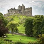 Steve Mackin - @mackinsteve23 - Instagram