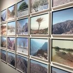 Steve Macleod - @stevemac65 - Instagram