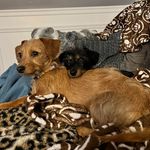 Steve MacLeod - @steve.macleod.77 - Instagram