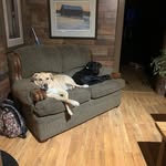 Steve Macleod - @stevemac613 - Instagram