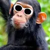 Steve Macpherson - @stevemacpherson2 - TikTok