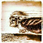 Steve Main - @stevemain - Instagram