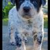 Steve Maines - Facebook
