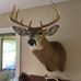 Steve Majewski - Facebook