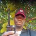 Steve Major - Facebook