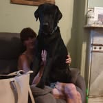 Steve Malone - @steve.malone.5832343 - Instagram