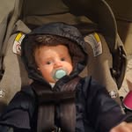 Steve Mandell - @steve123688 - Instagram