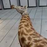 Steve Mandell - @srm6100 - Instagram